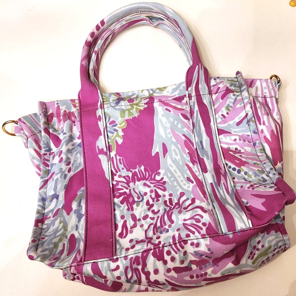Lunch/tote bag - Super Cute!
